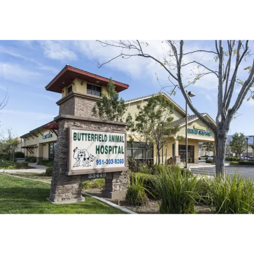 Butterfield Animal Hospital and Sign